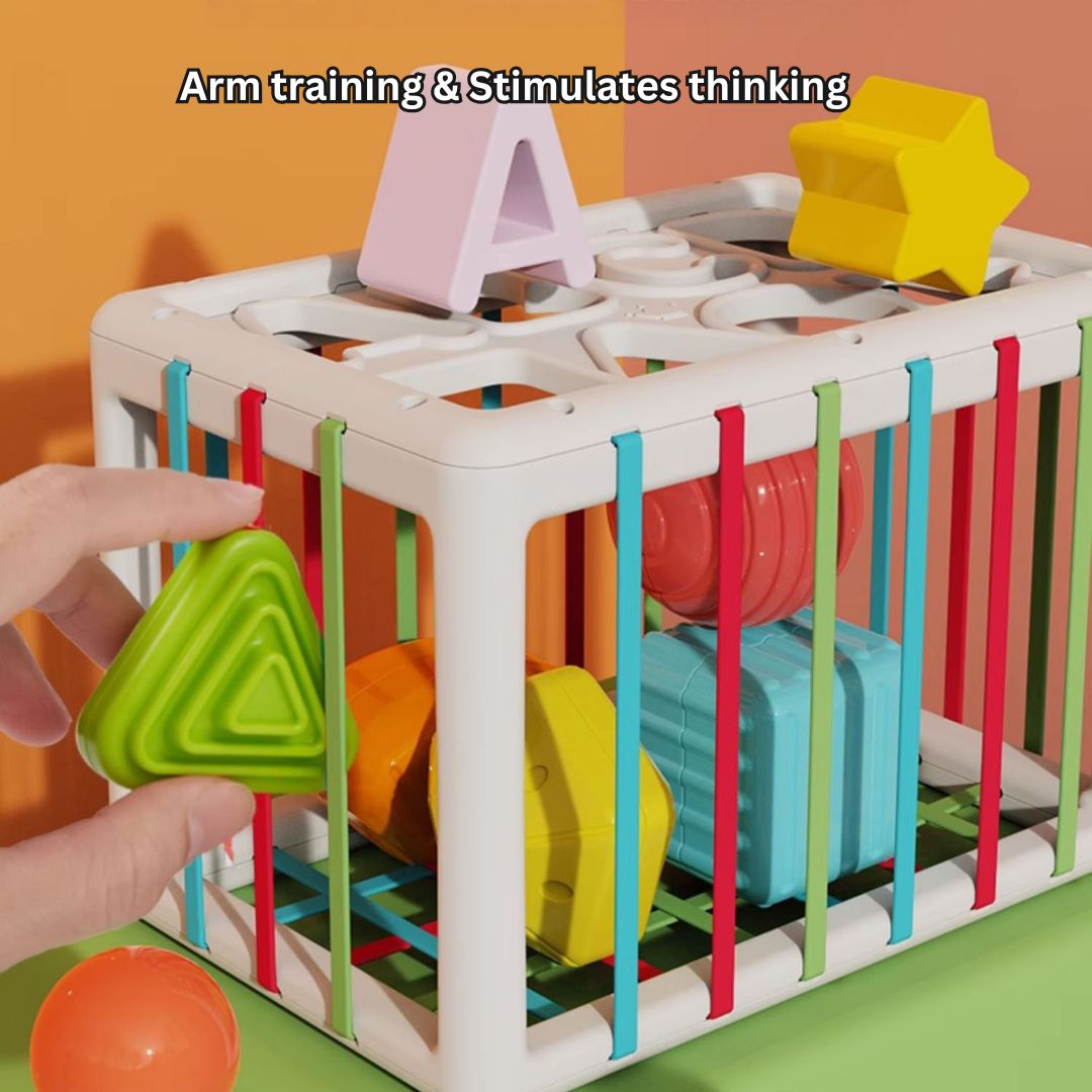 Rainbow Plug & Play Activity Set – Shape & Letter Matching, Fine Motor Skills, BPA-Free ABS, and Durable Early Learning Toy 18 Months + - Little Kooma