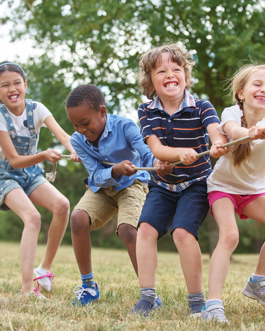 Please paste the text of the blog post or provide a link.