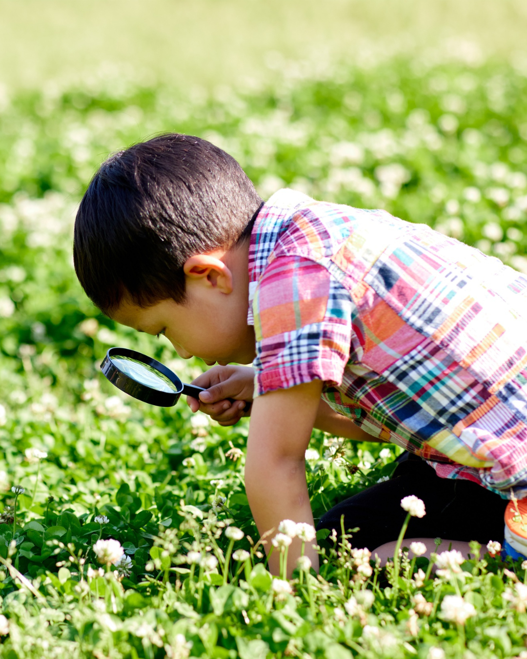 Handling Toddler Why Overload with Patience and Curiosity Tips