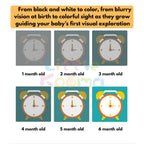 Ready Stock Baby Visual Stimulation Flash Cards  Large Size Black White Color Learning Set 0–36M - Little Kooma