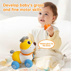 360° Interactive Pull & Push Baby Buddy – Feed, Pet, Play Smart Learning Toy 18 Months + - Little Kooma