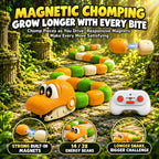 Ready Stock RC Magnetic Chomping Snake Toy 2.4G Remote Control Multiplayer Kids Gift Ages 6+ - Little Kooma