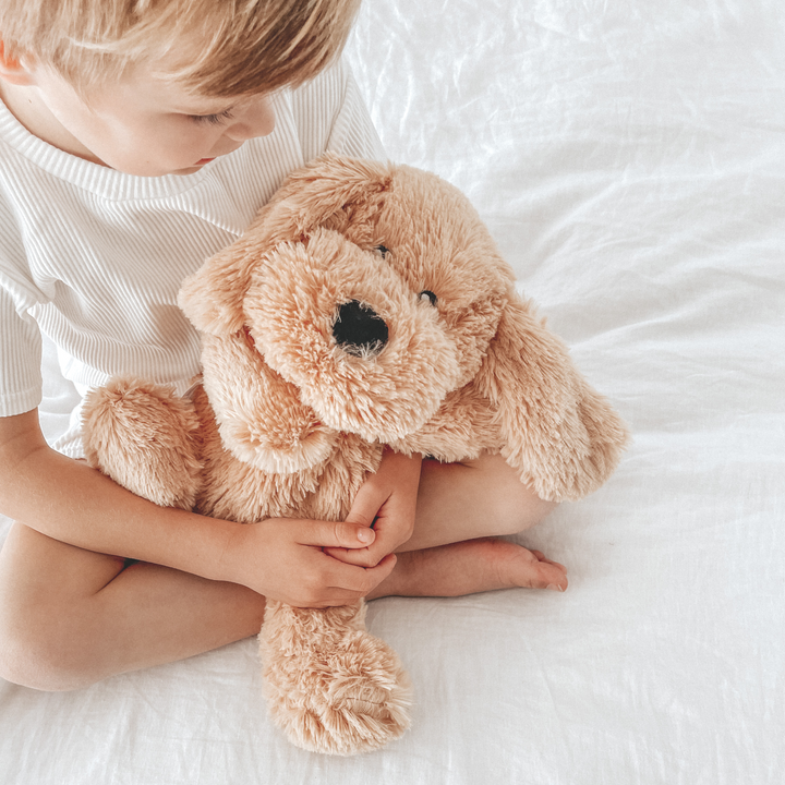 Weighted Buddies - Baby Soft Toy - Little Kooma
