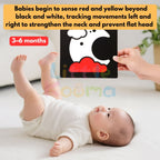 Ready Stock Baby Visual Stimulation Flash Cards  Large Size Black White Color Learning Set 0–36M - Little Kooma