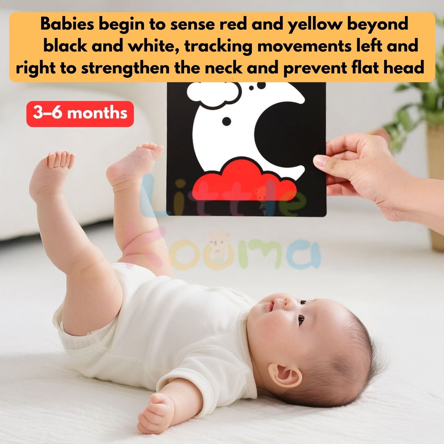 Ready Stock Baby Visual Stimulation Flash Cards  Large Size Black White Color Learning Set 0–36M