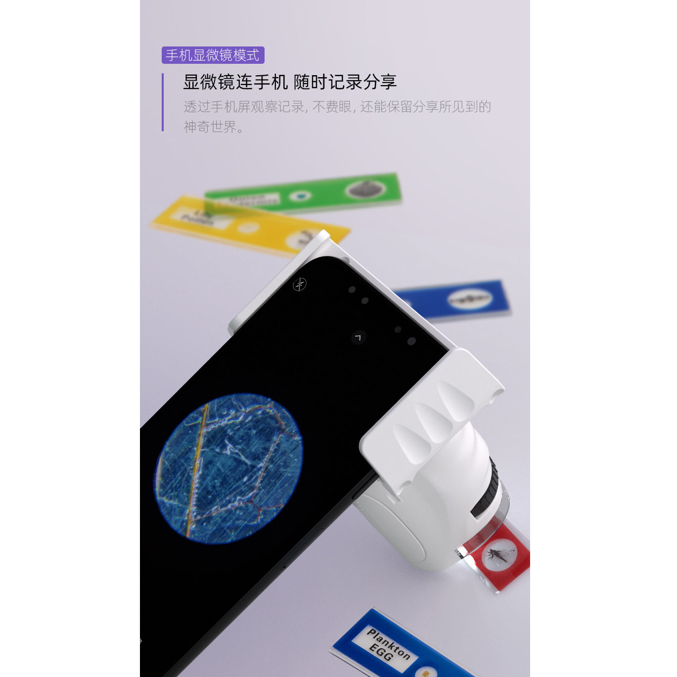 Kids Portable Science Microscope Clearance Sale 8 Years +