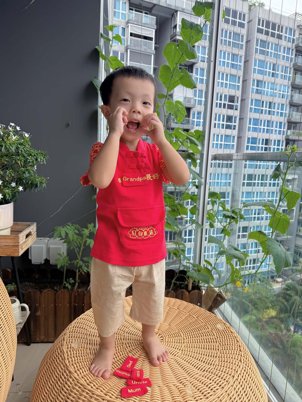 Singapore Souvenir Gift Baby Kids Boys Cheongsam Set Leave Ang Bao Here Top n Shorts CNY Chinese New Year Outfit - Little Kooma