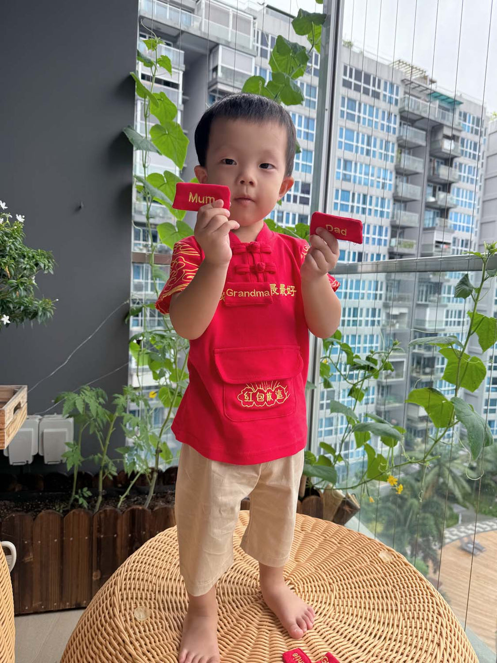 Singapore Souvenir Gift Baby Kids Boys Cheongsam Set Leave Ang Bao Here Top n Shorts CNY Chinese New Year Outfit - Little Kooma