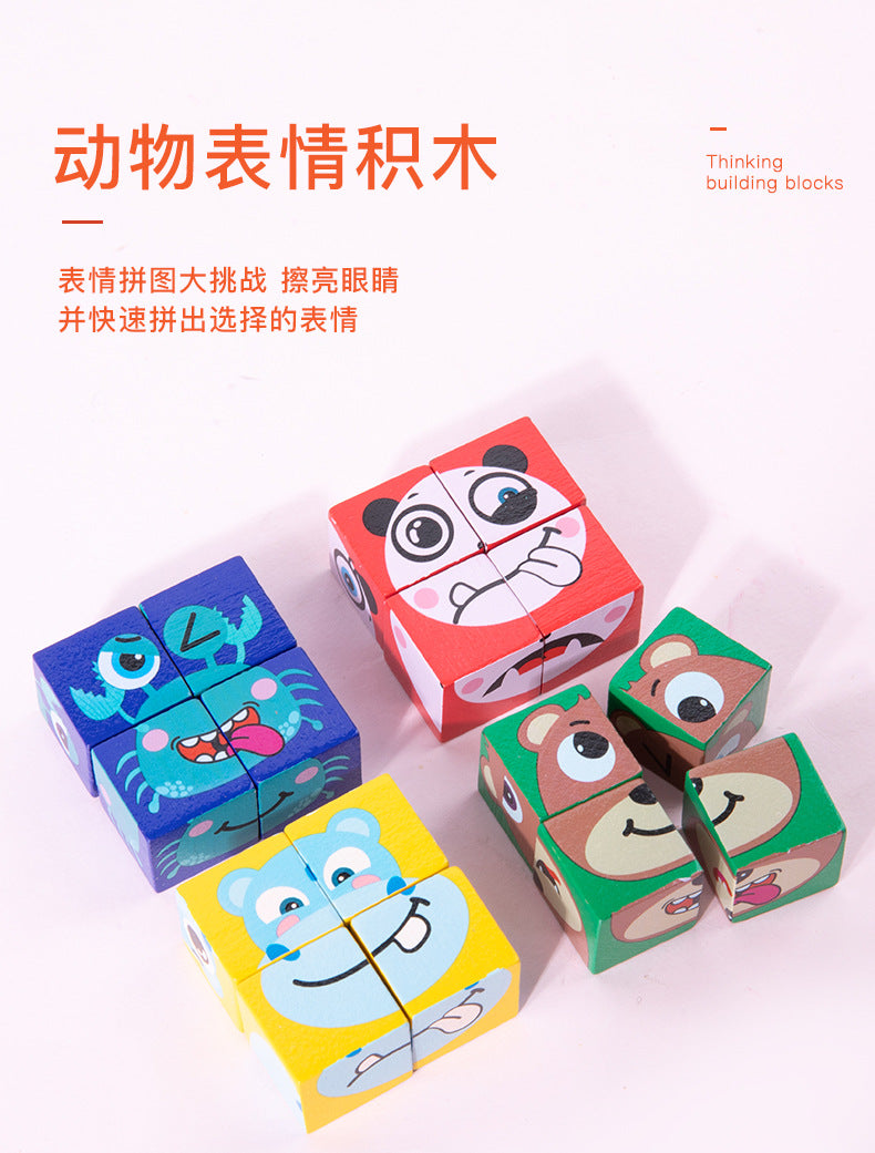 Rubik's Cube & Logic Blocks Clearance Sale 3 Years + - Little Kooma