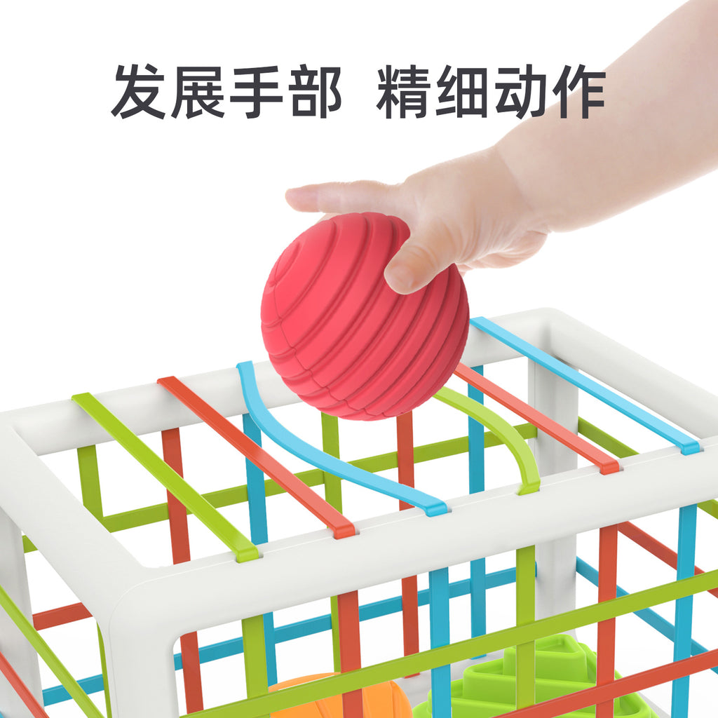 Shape Sorting Toy Clearance Sale 12 Months + - Little Kooma