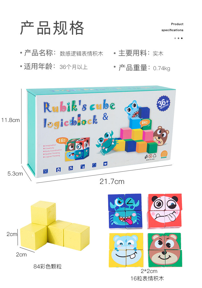 Rubik's Cube & Logic Blocks Clearance Sale 3 Years + - Little Kooma