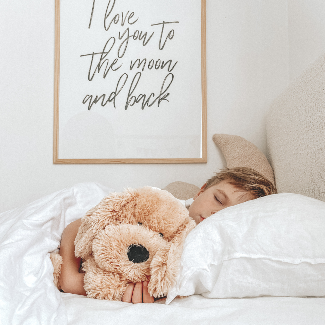 Weighted Buddies - Baby Soft Toy - Little Kooma