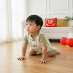 Singapore Souvenir Gift Panda Eat Bamboos Baby Boy Cheongsam Romper 0841