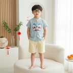 Singapore Souvenir Gift Baby Kids Boys Green Cheongsam Set Dancing Lion Top n Shorts CNY Chinese New Year Outfit