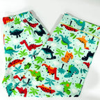Colorful Dino Pyjamas - Little Kooma