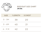Luvable Friends Baby Bodysuit Sleepsuit Bib 3 Piece Layette Set 72322CH Llama Love - Little Kooma