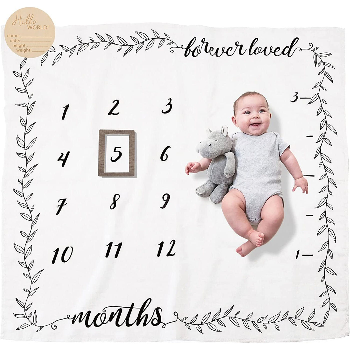 Baby Print Milestone Mink Blanket Photo Background Adventure Awaits 52228 - Little Kooma