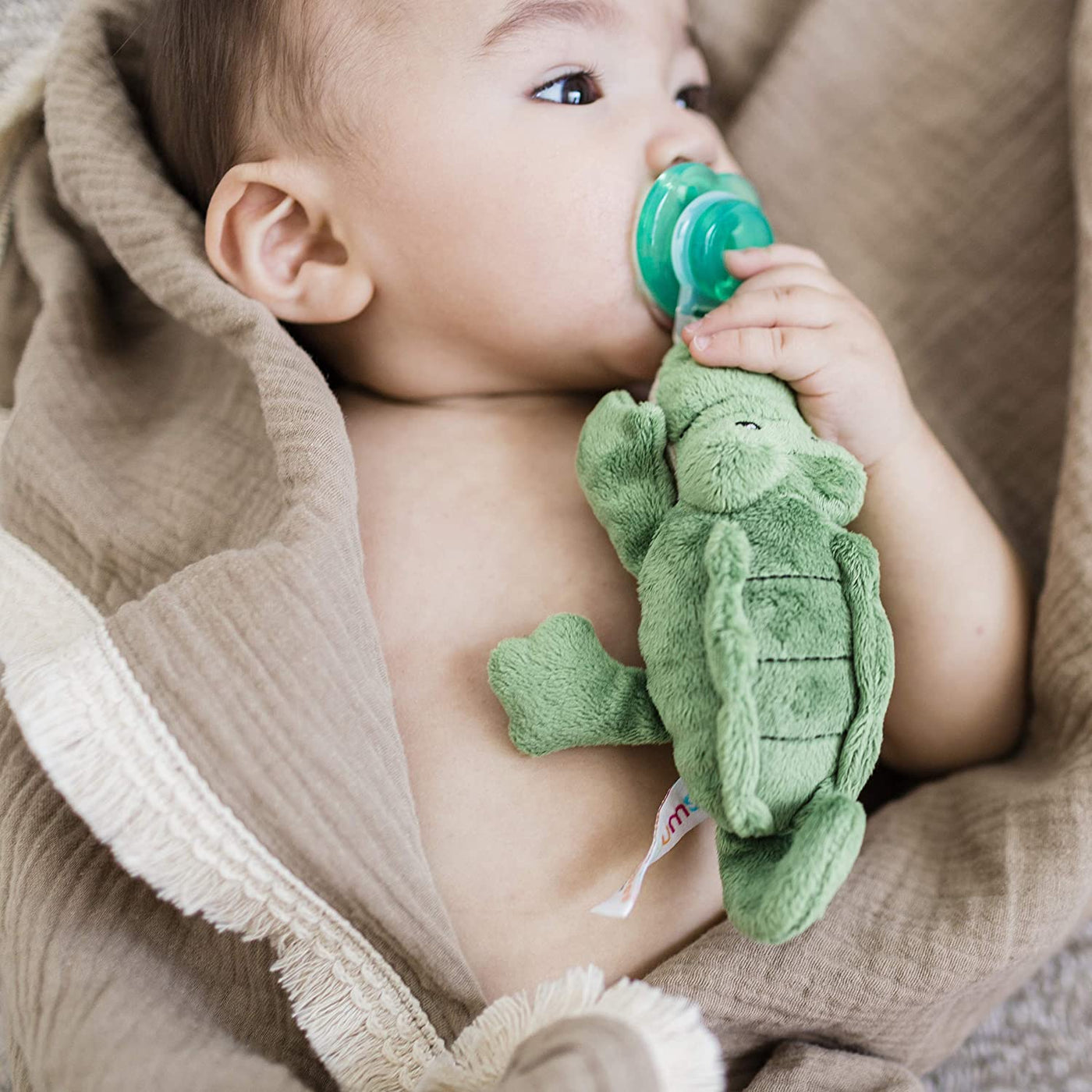 Nookums Paci-Plushies Buddies - Alligator Pacifier Holder - Plush Toy Includes Detachable Pacifier - Little Kooma