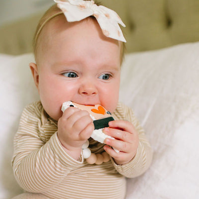 Silicone Baby Teether - Ebi Set - Little Kooma