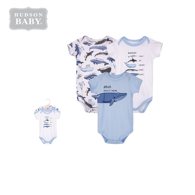 Hudson Baby Boy Bodysuit 3pc Set Short Sleeve Whale Types 14571CH - Little Kooma