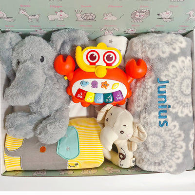 New Born Baby Boy Personalised Little Kooma Brand Gift Box 12 Pcs Elephant Set 2022 - Little Kooma