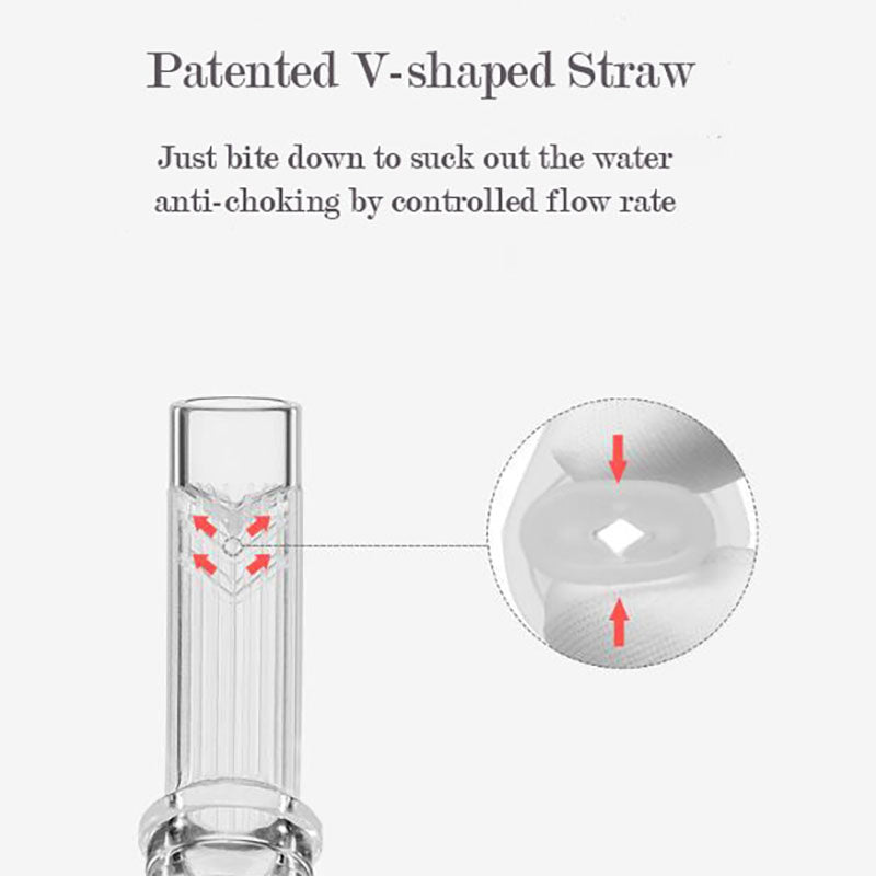 Babycare Baby Water Bottle Straw Cups Baby Training Cup Bottle with Handle 300ml - Little Kooma