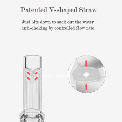 Babycare Baby Water Bottle Straw Cups Baby Training Cup Bottle with Handle 300ml - Little Kooma