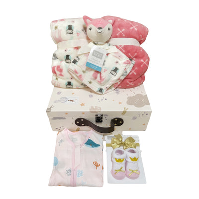 New Born Baby Girl LED Light Gift Box 6 Pcs Fox Set - Little Kooma