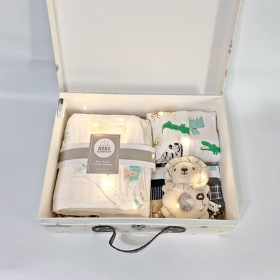 New Born Baby Boy LED Light Gift Box 7 Pcs Animal Set 2022 - Little Kooma
